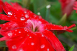 sDSC_2447