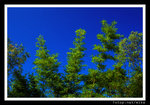 s20070722_0611
