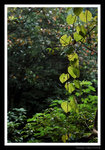 s20071028_0259