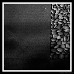s20071115_0021a