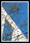 s20071115_0027
