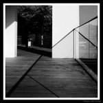 s20071115_0065