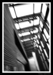 s20071115_0094
