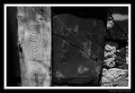 s20080703_0126