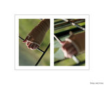 s20081026_0007a