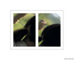 s20081026_0009a