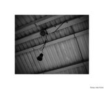 s20081026_0016