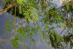 s20050213_0025