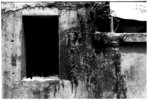 sDSD4_0133