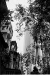 sDSD4_0134