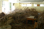 sDSC_2188