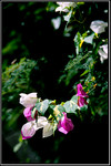 sp_122_016 copy