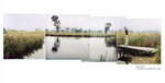 monique_panorama