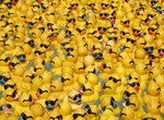 The Masses