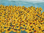 the social masses