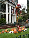 A Happy Halloxmas Scarecrow
