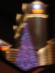Tree outside Ceasers 