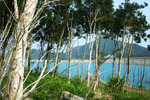 DSCN6165R