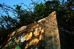 DSCN8507R