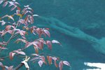 DSCF5825