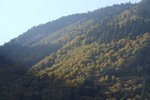 DSCF5851