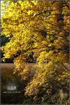 DSCF7381R