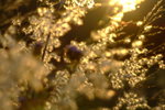 DSCF0495