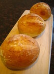 20060128 vienna roll