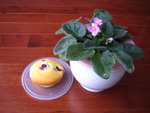 �Ų������P�| 20050802 
blueberry muffin