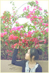 HIN_4320b