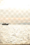 HIN_3864