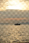 HIN_3865