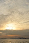 HIN_3871