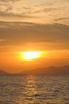 HIN_3903