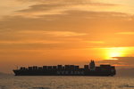 HIN_3913