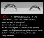 IMG_5543b5 copy