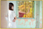 HIN_4212