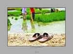HIN_1045b