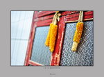 HIN_1086b