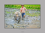 HIN_1088b