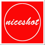 niceshot2