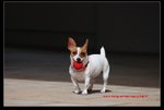 DSC_2599s
