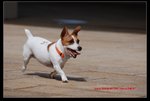 DSC_2608s