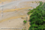 D31_3449-copy