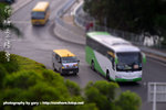 D31_3800-copy