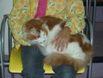 CIMG0652