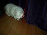 CIMG0658