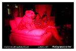 FUJICOLOR SUPERIA 200 2007-08-07