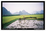 FUJICOLOR SUPERIA REALA 100