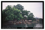 FUJICOLOR SUPERIA REALA 100